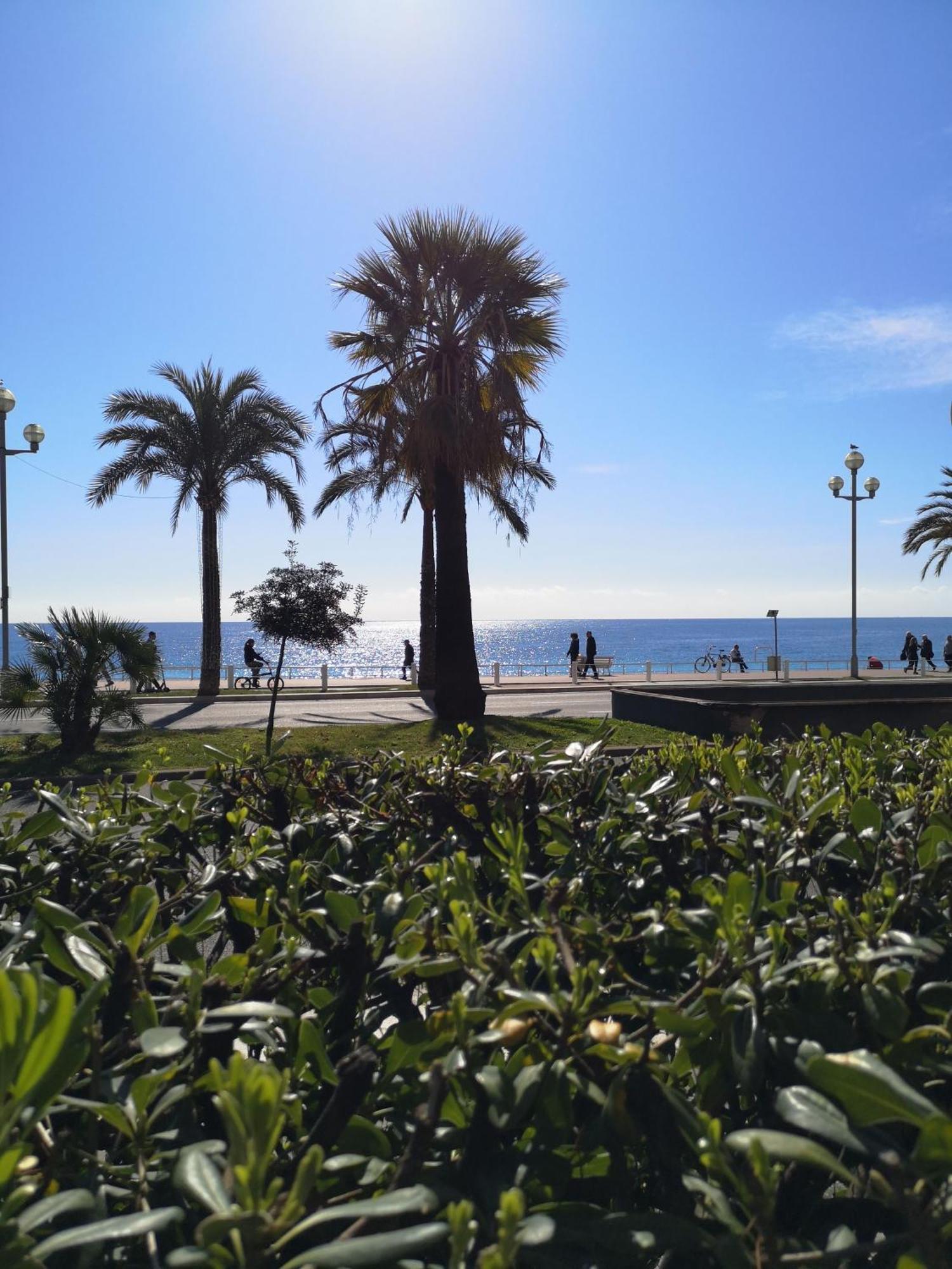 Apartmán Garden Atlantide Promenade Nice Exteriér fotografie