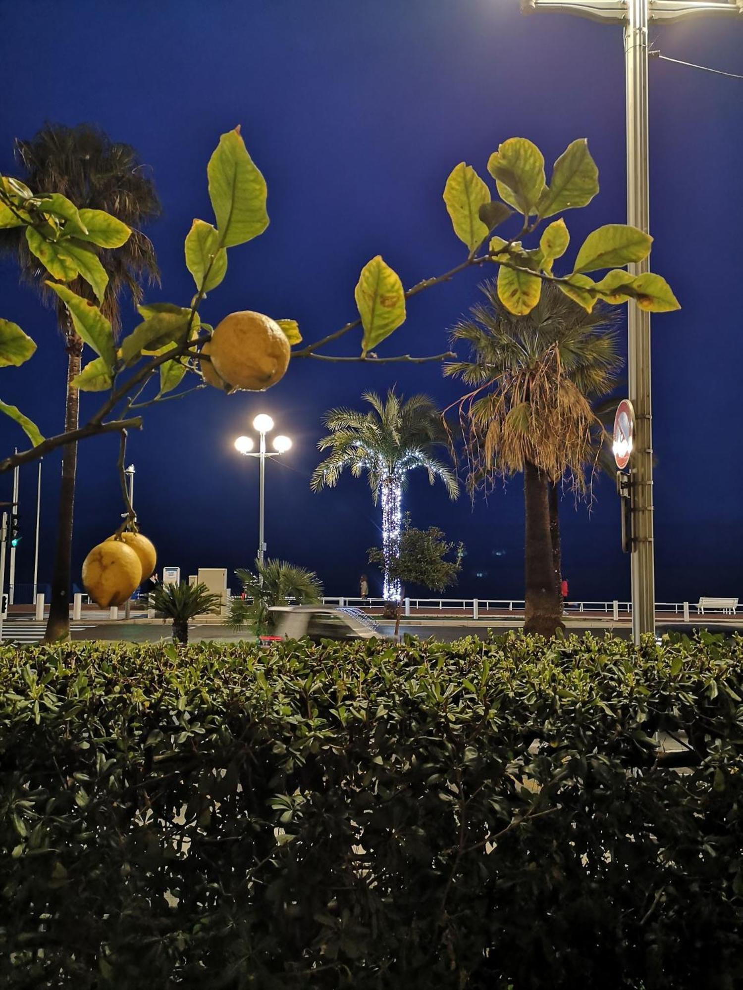 Apartmán Garden Atlantide Promenade Nice Exteriér fotografie
