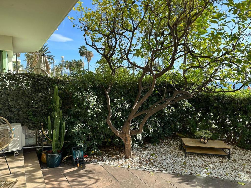 Apartmán Garden Atlantide Promenade Nice Exteriér fotografie