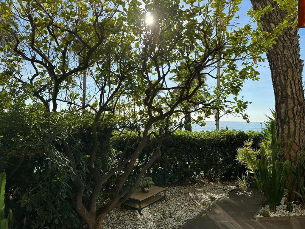 Apartmán Garden Atlantide Promenade Nice Exteriér fotografie
